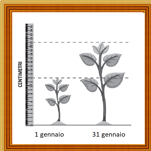 Invalsi primaria seconda elementare matematica 17