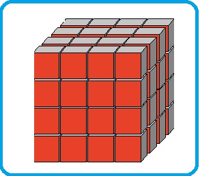 Selezione invalsi matematica primaria classe seconda il cubo