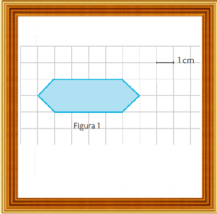 Selezione invalsi matematica primaria classe quinta calcola area 01