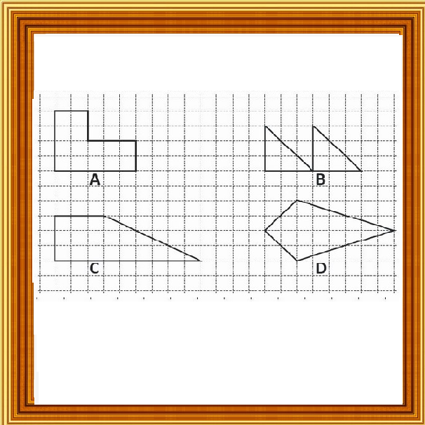 Selezione invalsi matematica primaria classe quinta simmetrie