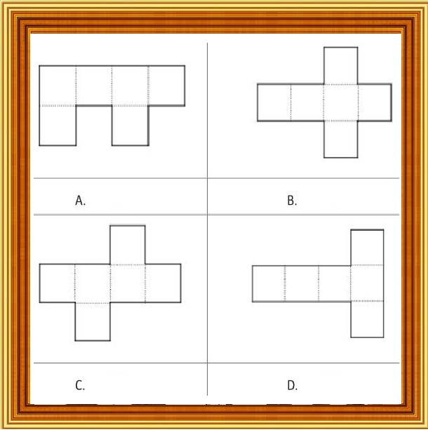 Selezione invalsi matematica primaria classe quinta sviluppo cubo