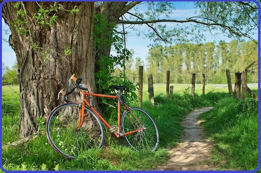 Selezione invalsi inglese secondaria secondo grado quinto green bike