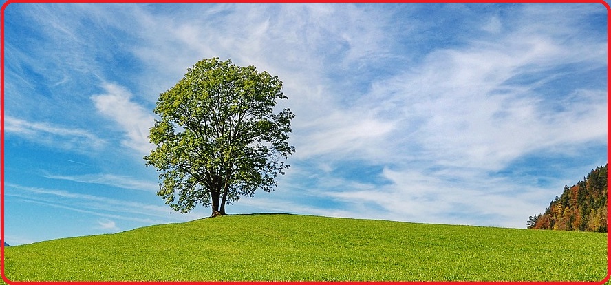 Selezione invalsi inglese secondaria secondo grado quinto nature