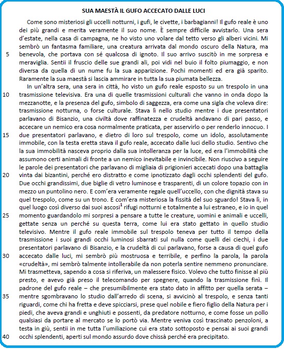 Selezione invalsi italiano secondaria secondo grado seconda sua maesta il gufo