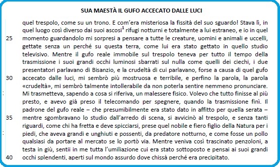 Selezione invalsi italiano secondaria secondo grado seconda sua maesta il gufo parte seconda