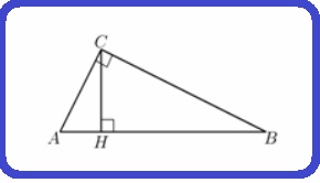 Selezione invalsi italiano secondaria secondo grado seconda superiore triangolo rettangolo