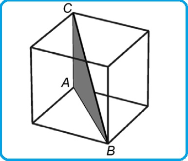 Selezione invalsi matematica secondaria secondo grado seconda superiore cubo