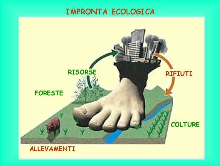 Selezione invalsi inglese secondaria classe terza italiano grafico impronta ecologica