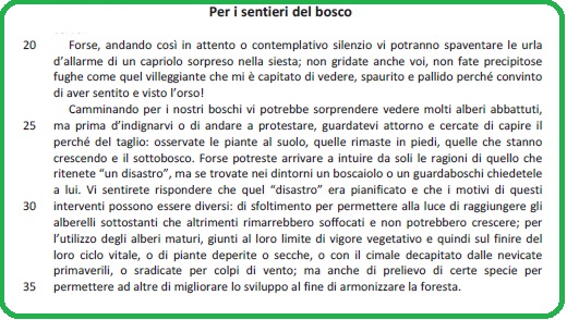 Selezione invalsi inglese secondaria classe terza italiano per i sentieri del bosco parte seconda