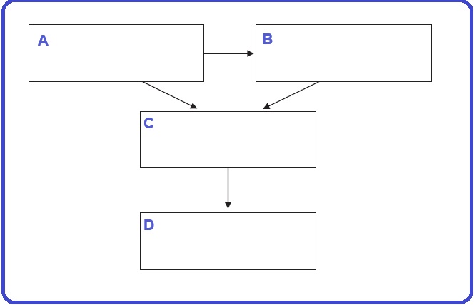 Selezione invalsi inglese secondaria classe terza italiano schema