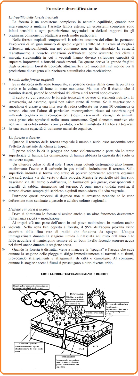 Selezione invalsi italiano secondaria secondo grado terza foresta e desertificazioni