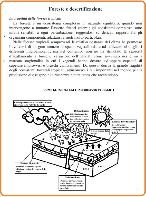 Selezione invalsi italiano secondaria secondo grado terza foresta e desertificazioni 01