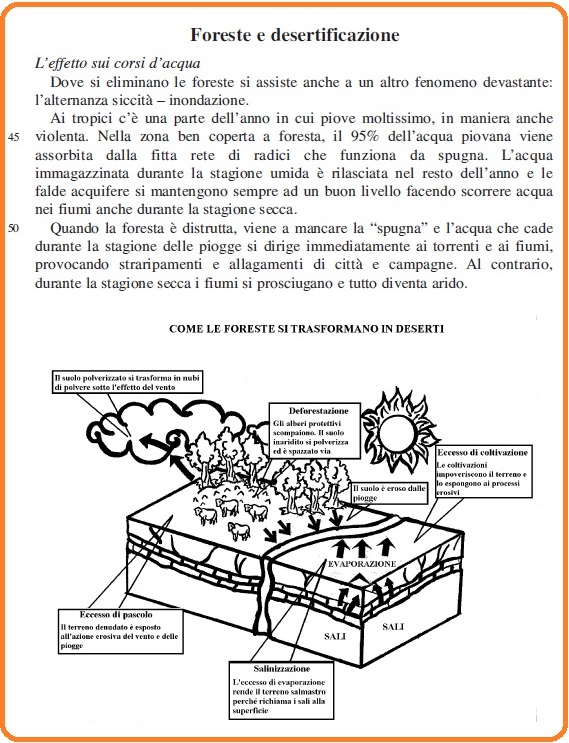Selezione invalsi italiano secondaria secondo grado terza foresta e desertificazioni 04