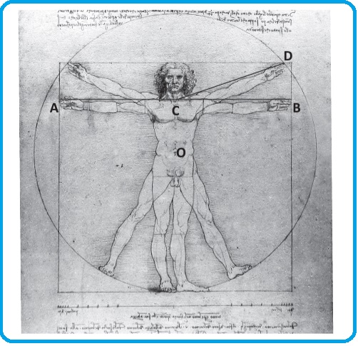 Selezione invalsi matematica secondaria primo grado terza leonardo da vinci