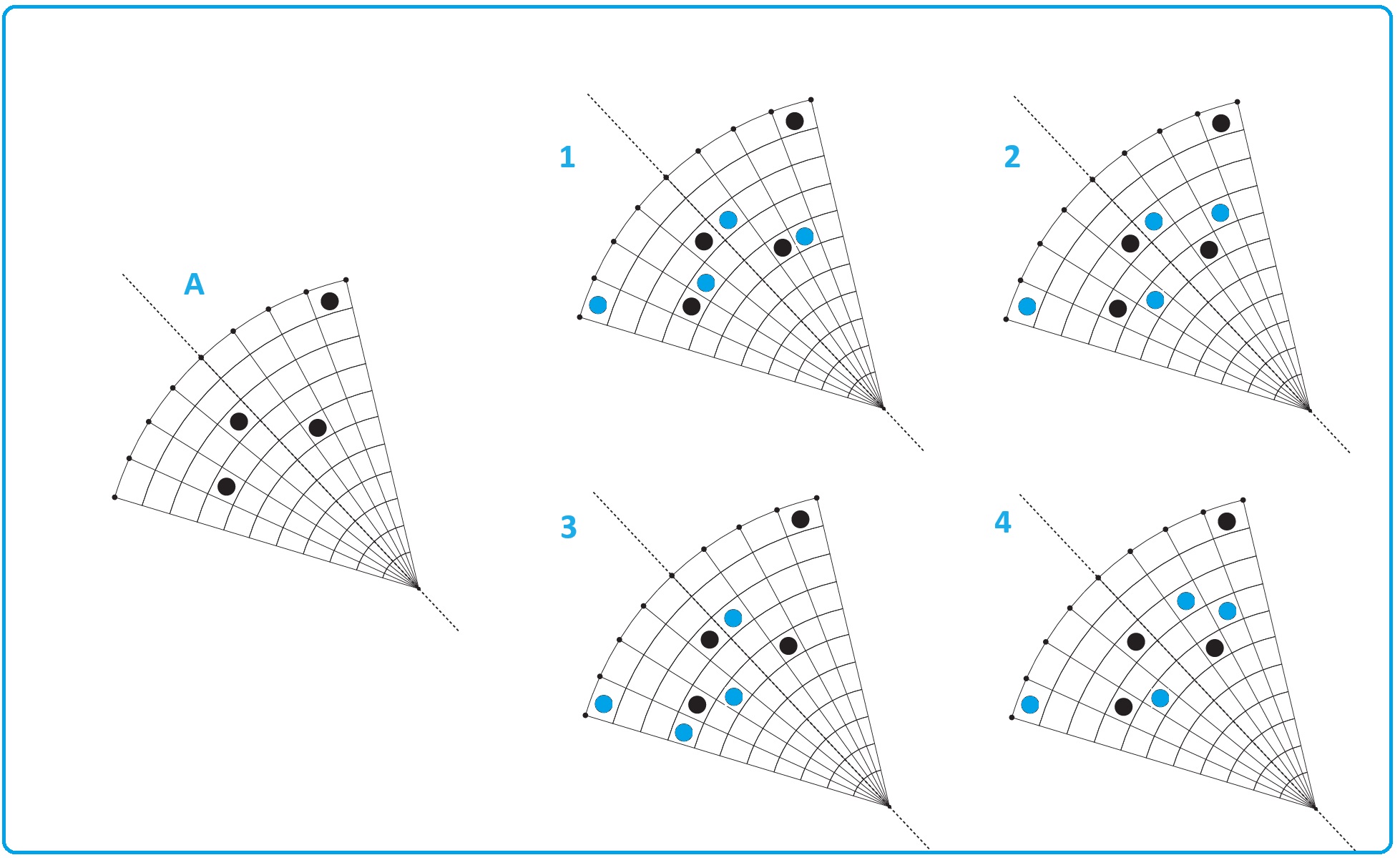 Selezione invalsi matematica secondaria primo grado terza simmetrie